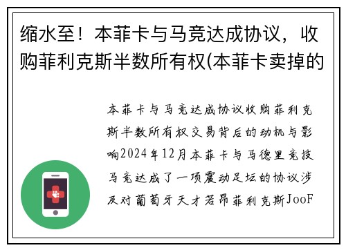 缩水至！本菲卡与马竞达成协议，收购菲利克斯半数所有权(本菲卡卖掉的球星)