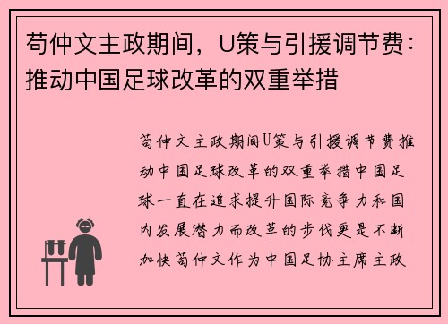 苟仲文主政期间，U策与引援调节费：推动中国足球改革的双重举措