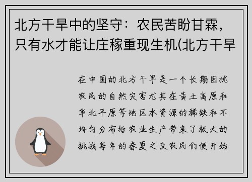 北方干旱中的坚守：农民苦盼甘霖，只有水才能让庄稼重现生机(北方干旱地区)